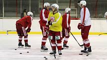 Hokejisté Slavie Praha jsou od neděle na ledě a zahájili tak finální část letní přípravy.