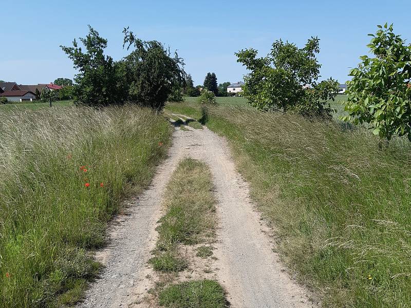 Plánovaná cyklostezka z Cholupic do Dolních Břežan na okraji Prahy se nelíbí místním obyvatelům. Asfalt podle nich zničí krajinu.