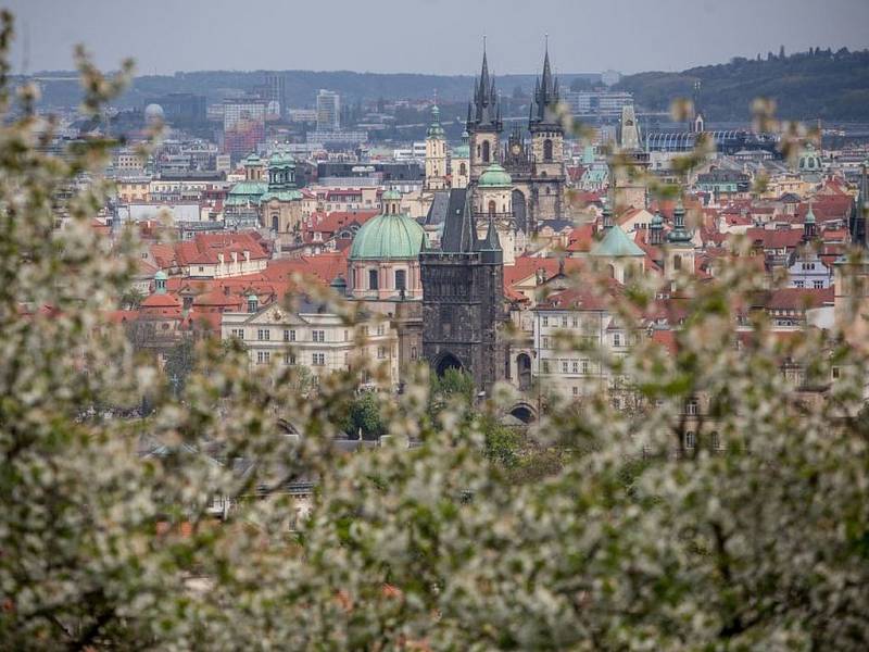 Lidé se líbali 1. května pod rozkvetlými stromy na pražském Petříně.