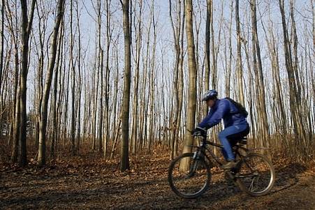 Prokopské údolí patří k nejkrásnějším pražským údolím, k vidění je tu široká škála geologických útvarů. 