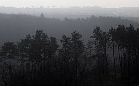 Prokopské údolí patří k nejkrásnějším pražským údolím, k vidění je tu široká škála geologických útvarů. 