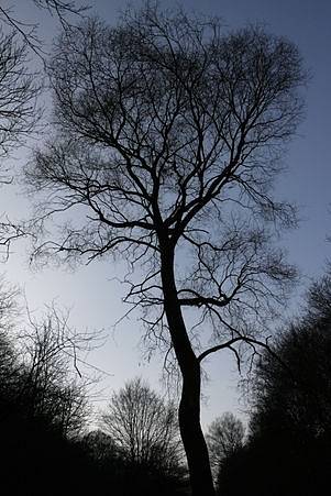 Prokopské údolí patří k nejkrásnějším pražským údolím, k vidění je tu široká škála geologických útvarů. 