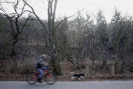 Prokopské údolí patří k nejkrásnějším pražským údolím, k vidění je tu široká škála geologických útvarů. 