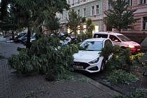 Wenzigova Praha 2, spadlý strom poškodil dvě zaparkovaná vozidla.