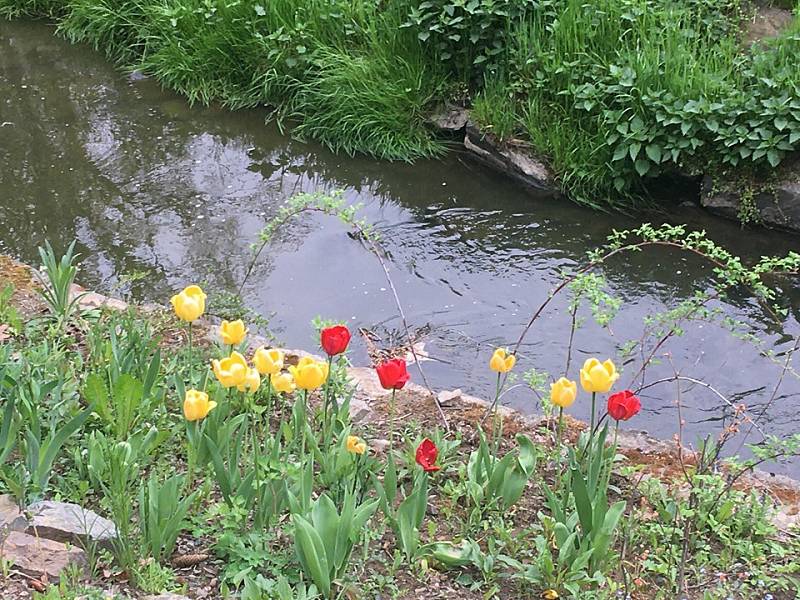 Průhonický park se opět otevřel návštěvníkům po vynucené pauze kvůli koronaviru.