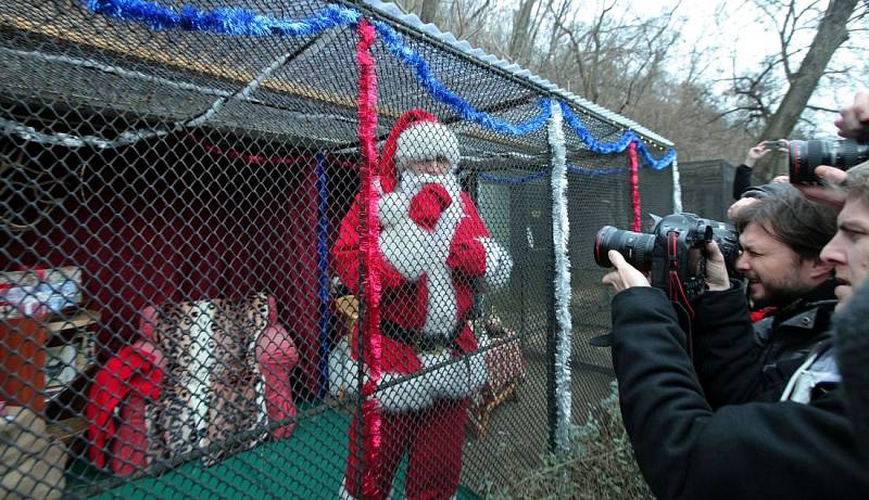 Santa Claus v Zoo Praha