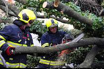 Pražští hasiči zasahovali na několika místech metropole kvůli silnému větru.