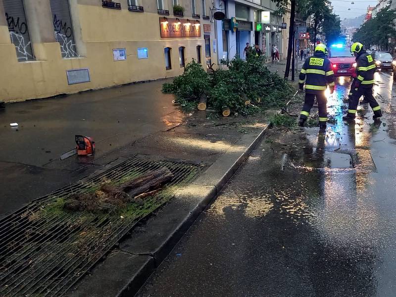 Popadané stromy po přívalových deštích v Praze.