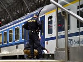 V mezinárodním vlaku v Praze byla nalezena podezřelá bedna, pyrotechnik v ní našel dělový dalekohled.