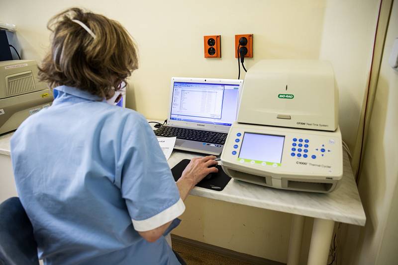 Laboratoř Fakultní nemocnice v Motole vyšetřila už několik tisíc vzorků na přítomnost koronaviru.