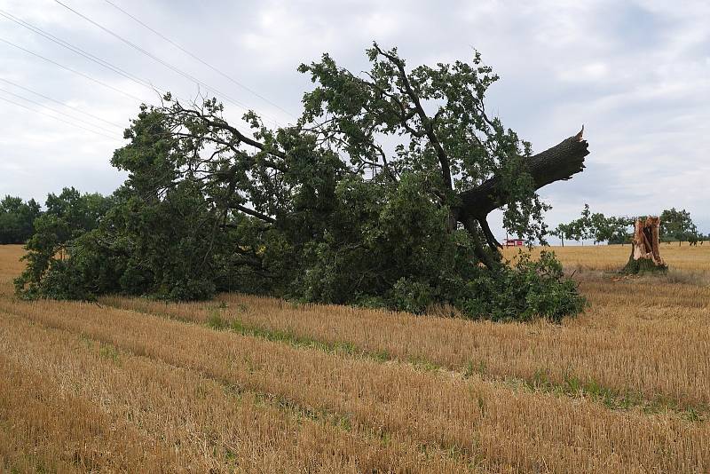 Následky bouřky v noci na sobotu 6. srpna 2022 v okolí Velkých Popovic a Kašovic.