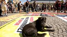 Pochod anarchistů z náměstí Republiky na Střelecký ostrov, 1. května 2012