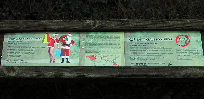 Představení vánoční expozice Santa Clausů v Zoo Praha.