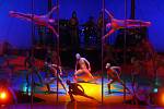 V pražské O2 Areně se 12. listopadu uskutečnilo vystoupení artistické umělecké skupiny Cirque du Soleil s názvem Saltimbanco.