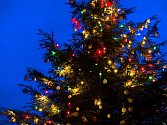 První adventní neděli pražská zoo společně se svými návštěvníky a významnými hosty rozsvítí vánoční strom.