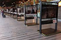 Výstava s názvem „Ulice není moje volba" na hlavním nádraží v Praze. 