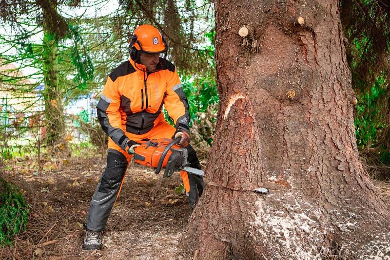 Kácení, přeprava a stavění vánočního stromu pro Prahu v roce 2019.