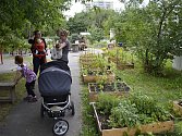 Komunitní zahrada slouží nejenom k zahradničení, ale také jako místo k setkávání. V pražské zahradě Vidimova mají kolem třiceti členů a plánují se do příští sezony rozrůst.