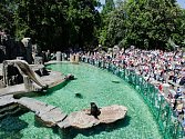 Zoo Praha v absolutní světové špičce