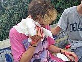 Na pražské Letné podle skateboardistů řádí skupina mladistvých agresorů, která je mlátí a okrádá. Incident řeší i policie.