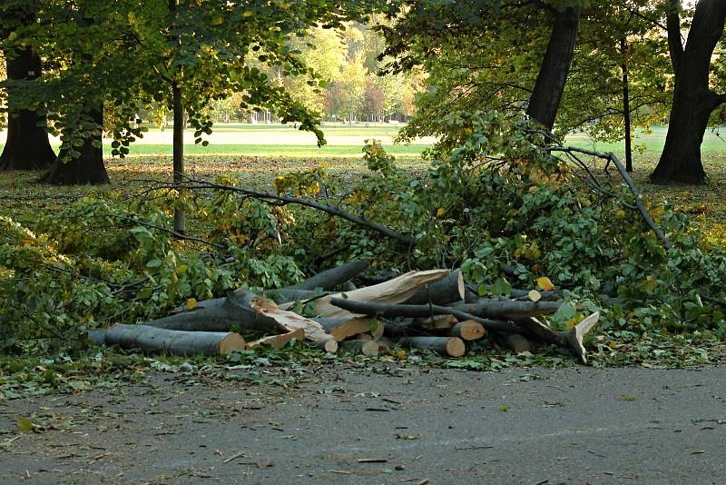 Následky silného větru ve Stromovce a v Letenských sadech.