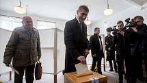 Andrej Babiš volil v krajských a senátních volbách v Průhonicích