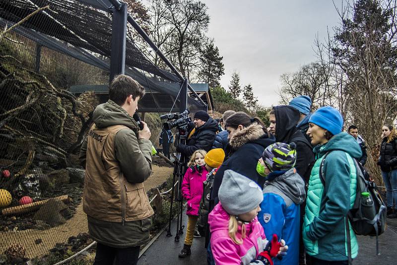 Štědrý den v pražské zoologické zahradě.