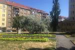 Prague 3, in connection with the revitalization of the park in front of the Jeseniova primary school, organized a survey among local citizens.