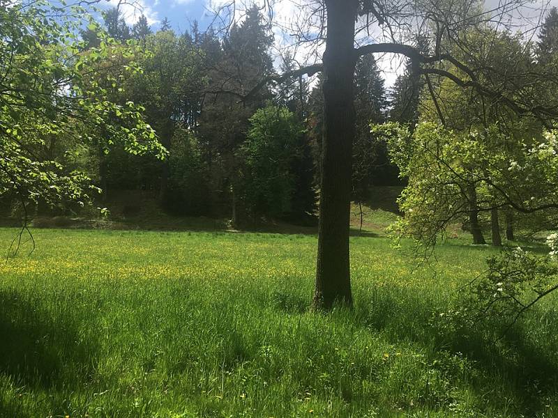 Průhonický park se opět otevřel návštěvníkům po vynucené pauze kvůli koronaviru.