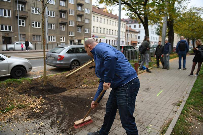 Sázení stromů v Sokolovské ulici.