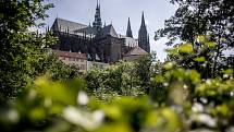 Pražský hrad 31. května v Praze. Královská zahrada.