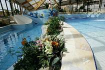 Největší aquapark ve střední Evropě nabídne široké spektrum vodních atrakcí a rozsáhlé relaxační centrum, saunový svět a moderní fitness centrum.