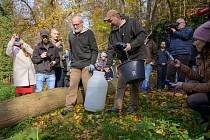 Pracovníci Zoo Praha se chystají vypustit v zoo namnožené karasy obecné do vinořského rybníka U Kamenného stolu.