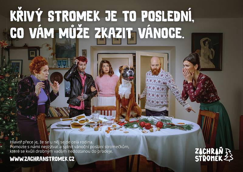 Zachraň stromek: Křivý stromek je to poslední, co vám může zkazit Vánoce.