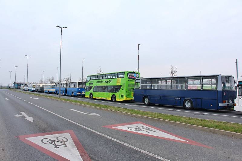 Autobusový den Pražské integrované dopravy 2019 v Letňanech.