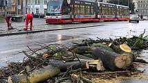 Nusle, Otakarova ulice, pád stromu na trolejové vedení tramvají.