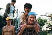 Red hot chilli peppers