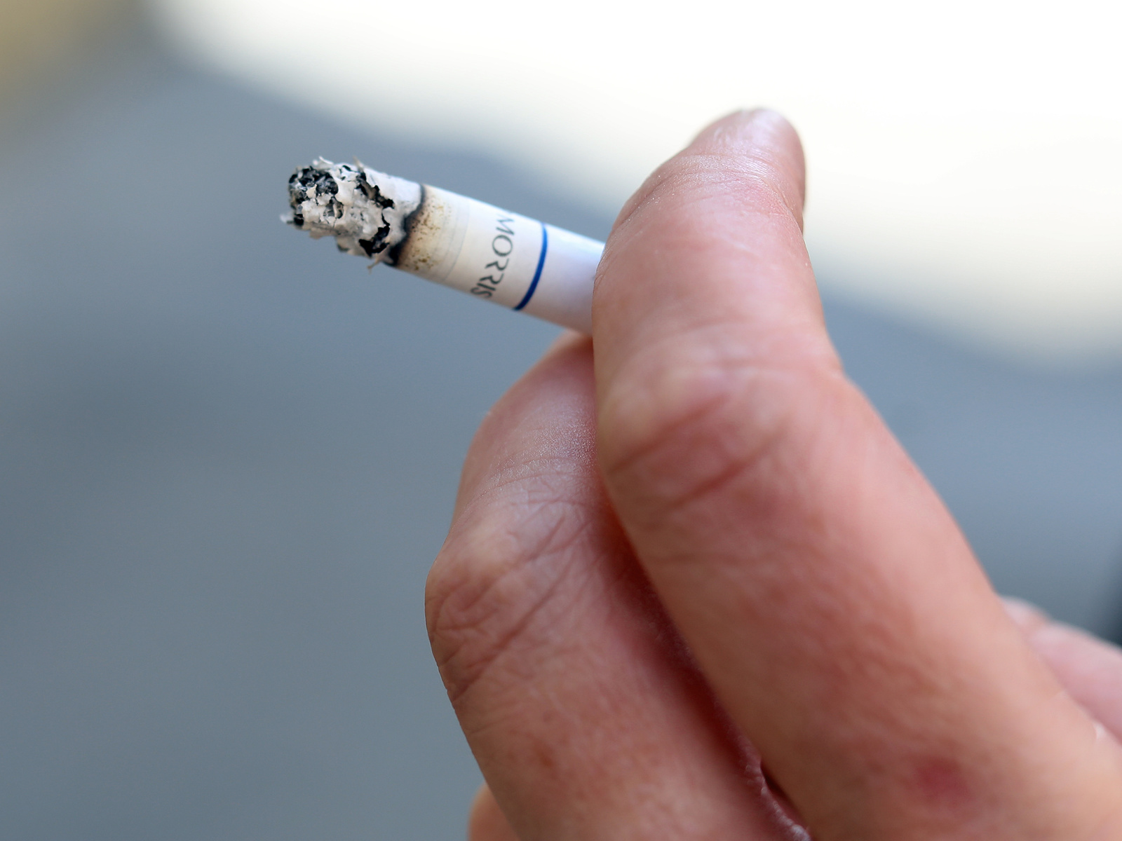 Kuřáků v Česku ubývá, i kvůli ceně. Přicházejí na chuť baleným cigaretám -  Brněnský deník