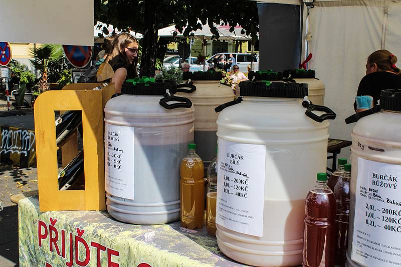 Vinohradské vinobraní. Festival vína na náměstí Jiřího z Poděbrad v Praze 3.