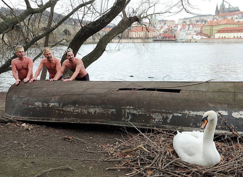 Tříkrálová otužilecká plavba pro převoznický punč 2019 pod Karlovým mostem.