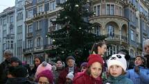 Slavnostní rozsvícení vánočního stromu na Stossmayerově náměstí