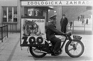 Na oslavách 90. výročí otevření Zoo Praha nebudou chybět ani historické motocykly s dobovou reklamou.