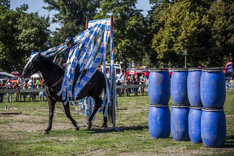 Den integrovaného záchranného systému se uskutečnil v sobotu 29. srpna 2015 na pražském Výstavišti.