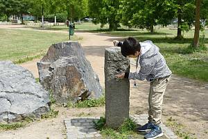 Místo v parku u Chodovské tvrze, kde v pítku hnízdily sýkory modřinky.