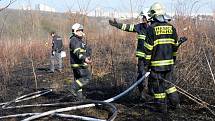 Jedním z mnoha požárů porostu, které pražští hasiči likvidují v nynějších teplých a suchých dnech, byl oheň v travnatém a křovinatém porostu na okraji sídliště na Jižním Městě. Ve čtvrtek 13. března 2014 odpoledne zachvátil plochu odhadem 250×250 metrů.
