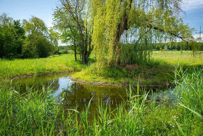 Krajinný park v Ladech na území mezi Biologickým rybníkem, Xaverovským rybníkem a dálnicí D8.