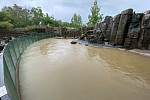 Zatopený bazén lachtanů v pražské zoo po bleskové povodni 14. června 2020.