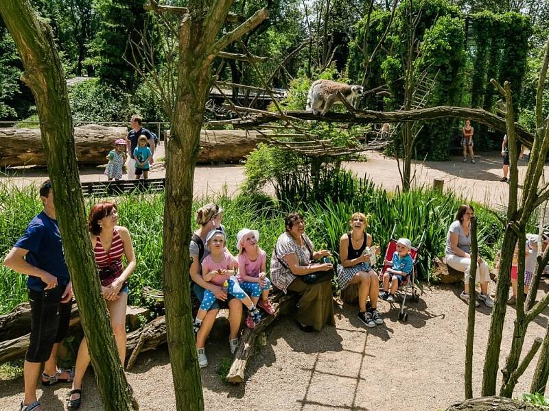 Areál Zoo Praha, který se díky své oblíbenosti dostal na světovou špičku.