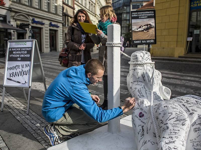 Socha ležící spoutané krávy byla vystavena v pondělí 19. října 2015 na Jungmannově náměstí v Praze v rámci evropského turné Cow on Tour na podporu ukončení vývozu hospodářských zvířat z Evropské unie.