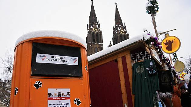 Adventní zastavení u Ludmily s rozsvícením vánočního stromku pro radnici Prahy 2 v rámci adventních trhů na náměstí Míru.